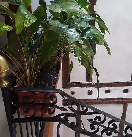 Hotel Rural Martin Hotel 3*